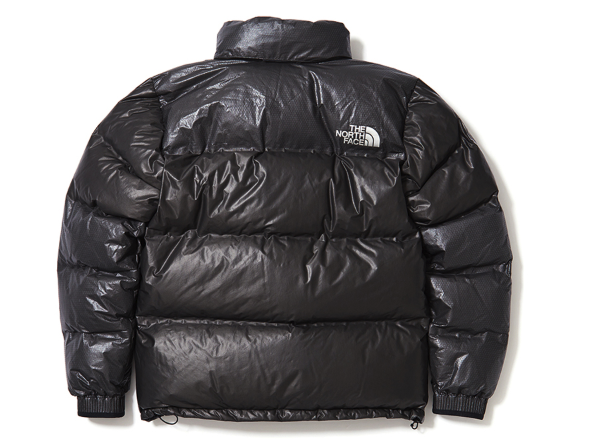 2019年11月22日(金)14時 ザ・ノース・フェイス GTX ヌプシジャケット（THE NORTH FACE GTX Nuptse Jacket）発売  - 流行ストリートマガジン